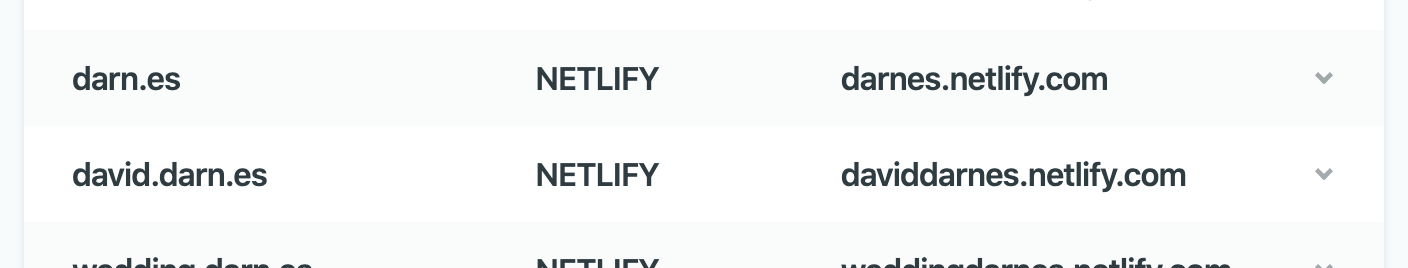 Netlify DNS records example