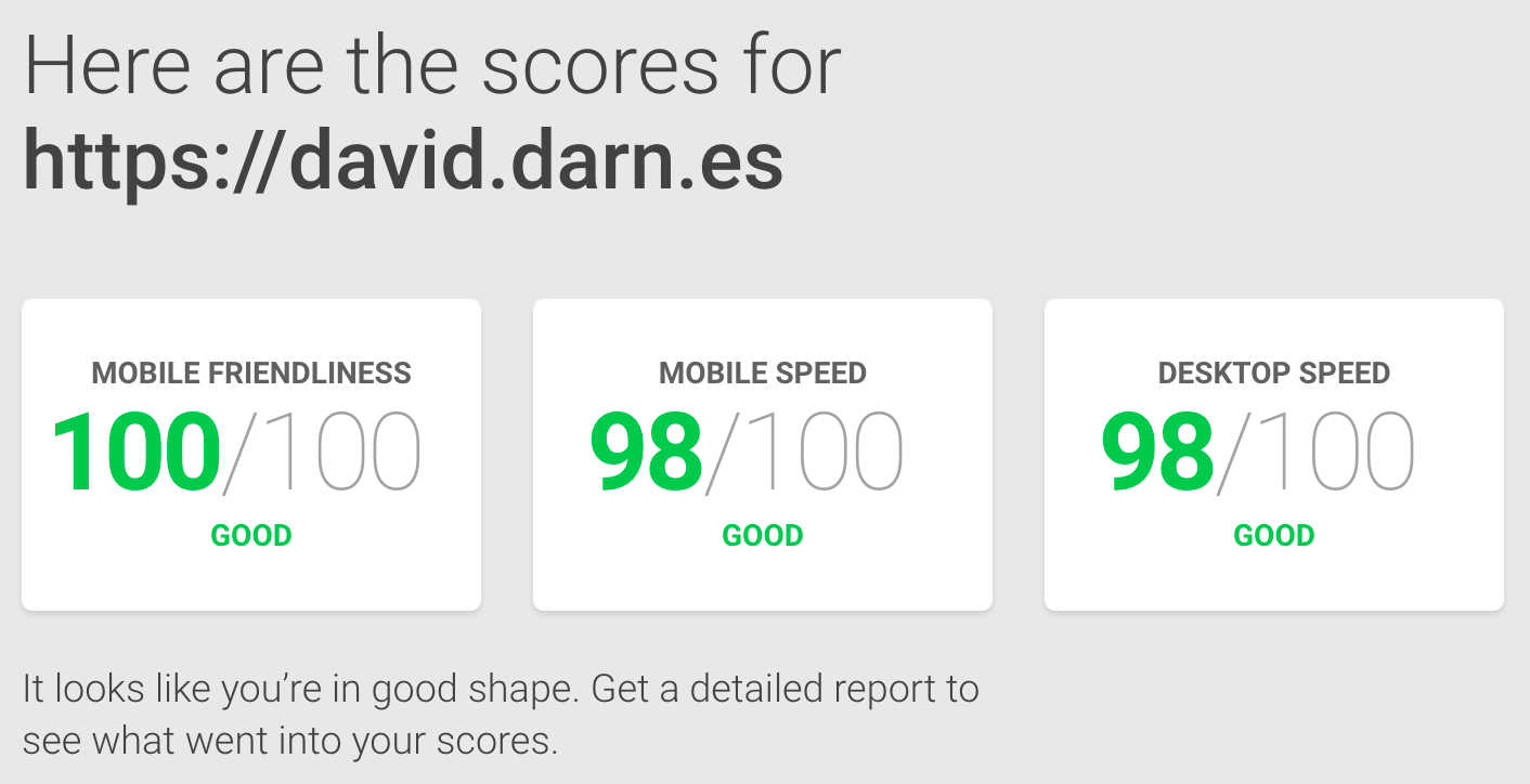 Google speed results