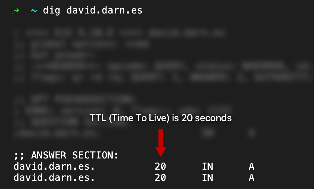 Example of the dig command pointing to the TTL (Time To Live) value, which is 20 seconds in this case